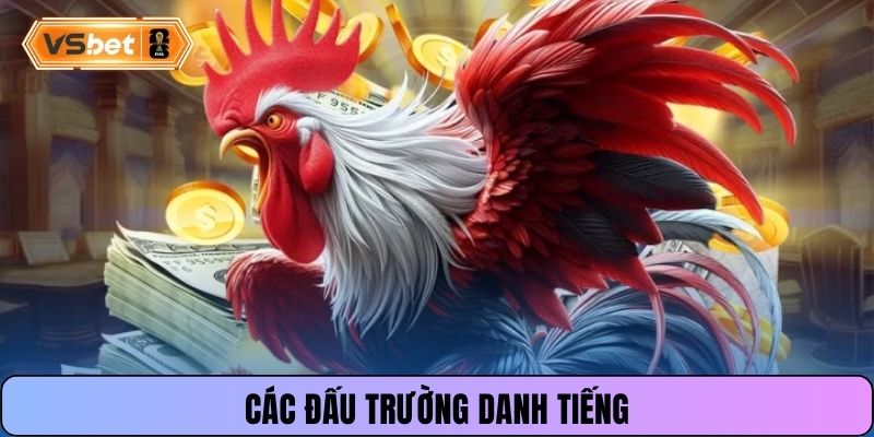 Các đấu trường danh tiếng