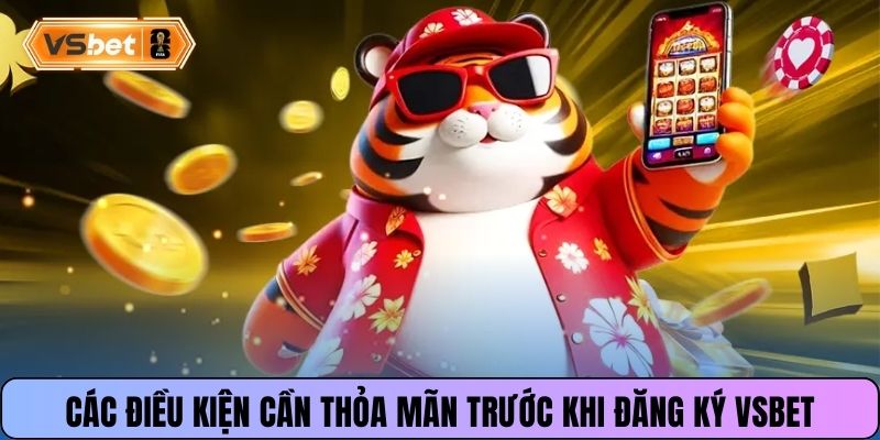 Các điều kiện cần thỏa mãn trước khi đăng ký Vsbet