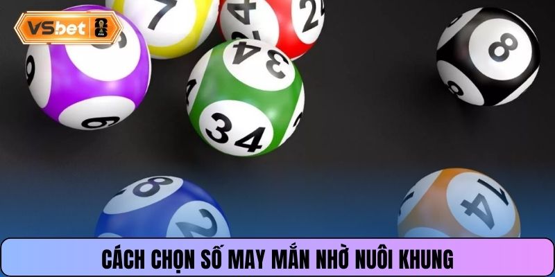 Cách chọn số may mắn nhờ nuôi khung