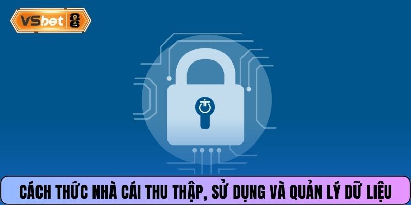 Cách thức nhà cái thu thập, sử dụng và quản lý dữ liệu