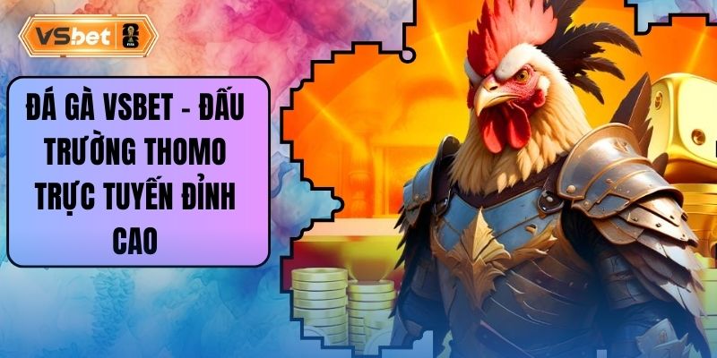 Đá Gà Vsbet – Đấu Trường Thomo Trực Tuyến Đỉnh Cao