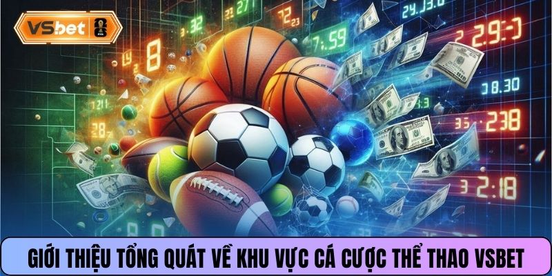 Giới thiệu tổng quát về khu vực cá cược thể thao Vsbet