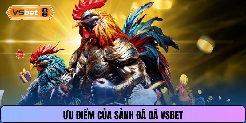 Ưu điểm của sảnh đá gà Vsbet